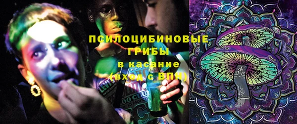 бутират Богородицк